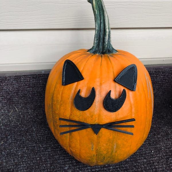 Cat pumpkin face